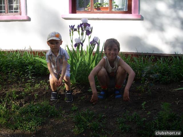 1481_buratinko_in_shorts_19.jpg